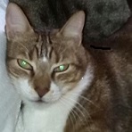 Avatar de Usuario
